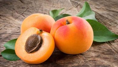 7 Health Benefits of Apricots... and More