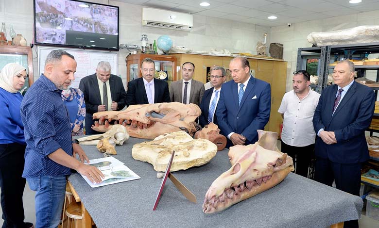 Mansoura University Enters Guinness World Records with the Discovery of "Tutcetus" Fossil