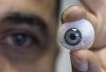 The World on the Verge of Developing a Sighted Artificial Eye