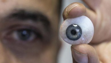 The World on the Verge of Developing a Sighted Artificial Eye