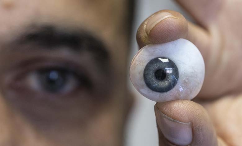 The World on the Verge of Developing a Sighted Artificial Eye