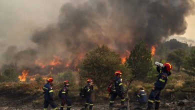 Thousands of hectares destroyed... Greece struggles to control massive wildfire