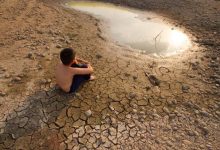 Warning of food shortages: Committee calls for a global agreement to resolve the water crisis