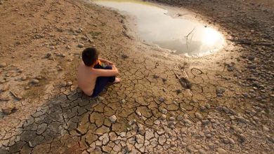 Warning of food shortages: Committee calls for a global agreement to resolve the water crisis