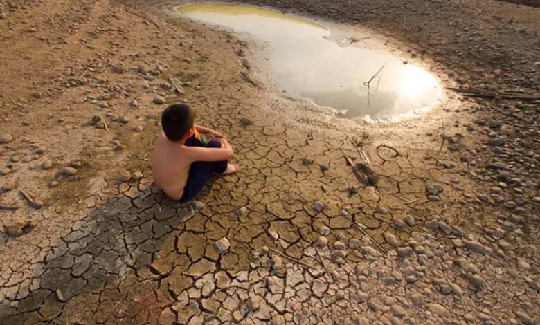 Warning of food shortages: Committee calls for a global agreement to resolve the water crisis