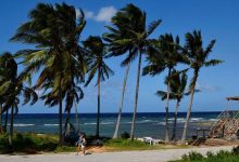 "Dangerous and Devastating"... Storm "Raphael" Heads toward Jamaica and Cuba