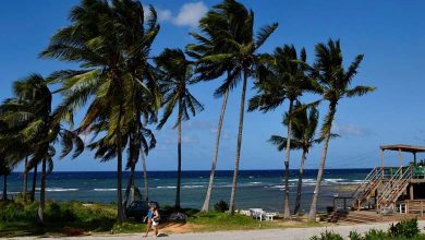 "Dangerous and Devastating"... Storm "Raphael" Heads toward Jamaica and Cuba