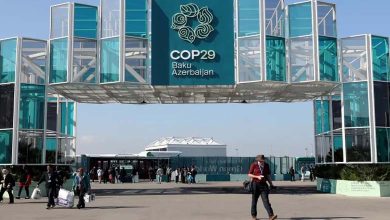 "Disappointing": France Criticizes COP 29 Agreement