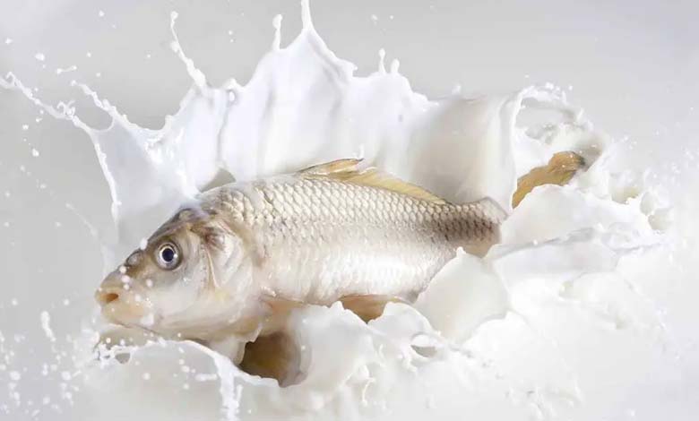 "Fish Milk": Nutritional Revolution or Risky Experiment?