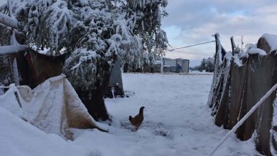 Alert and port closures: An early winter storm sweeps through Syria