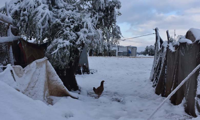 Alert and port closures: An early winter storm sweeps through Syria