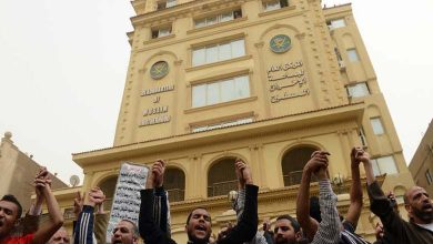 An Expert Reveals the Plans and Names of Muslim Brotherhood Centers Targeting the Region and Egypt