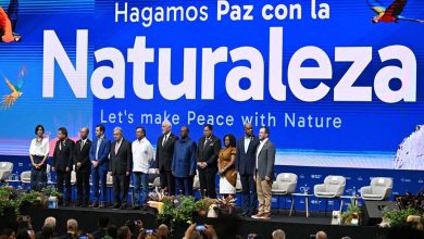 COP16 Conference: Establishment of a Permanent Body for Indigenous Peoples