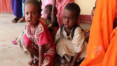 Sudanese Children Pay the Price for the Brotherhood's War