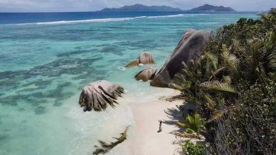 The Secrets of the Indian Ocean: How Was the Longest Underwater Mountain Range Formed?