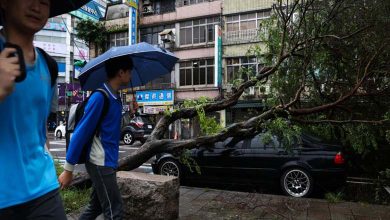 Typhoon "Kong-Rey" Shuts Down Taiwan, Dozens of Casualties