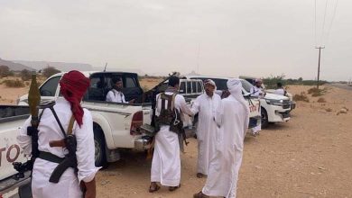 Under the Brotherhood's Patronage... The Hadramout Tribes' Alliance Escalates Against the Presidential Leadership Council