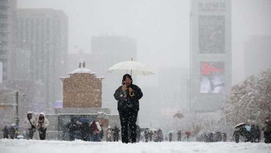 Violent Snowstorm Strikes South Korea