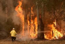 Australia: Firefighters Battle Massive Blaze in the Southeast