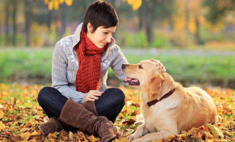 Beyond Affection: Why Do Dogs Lick Humans? - En.ImArabic