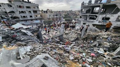 Gaza and the West Bank in 2024: Numbers Unveil a “Tragedy”