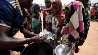 Hunger, Displacement, and War: The Triangle of Terror in Darfur