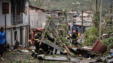 Mayotte: A French Island Devastated by Poverty before Cyclone "Chido"