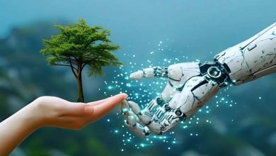 Positive and Negative: How Artificial Intelligence Affects the Environment