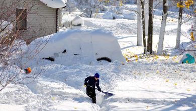 Snowstorm Sweeps across Parts of the United States