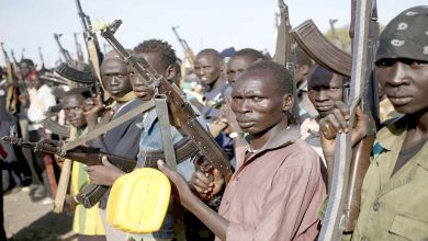 Sudan in 2024: Armed Groups Abandon "Neutrality" and Escalate the War