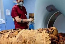 The "Black Death": An Egyptian Mummy Reveals Frightening Secrets