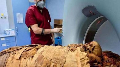 The "Black Death": An Egyptian Mummy Reveals Frightening Secrets