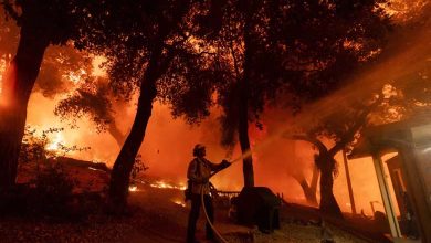 27 Dead and Thousands Displaced: California Residents Struggle to Find Housing After Wildfires