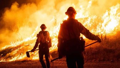 Did Global Warming Contribute to California Wildfires?