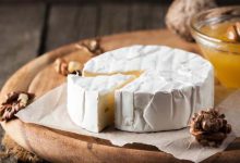 Discover the Effect of Camembert Cheese on Memory