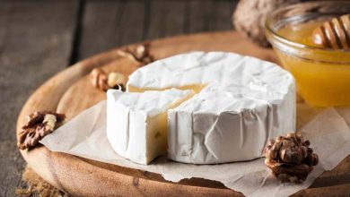 Discover the Effect of Camembert Cheese on Memory