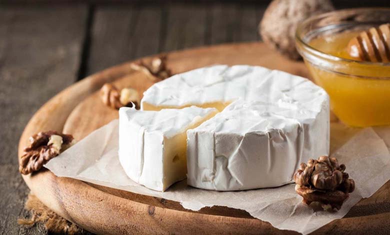 Discover the Effect of Camembert Cheese on Memory