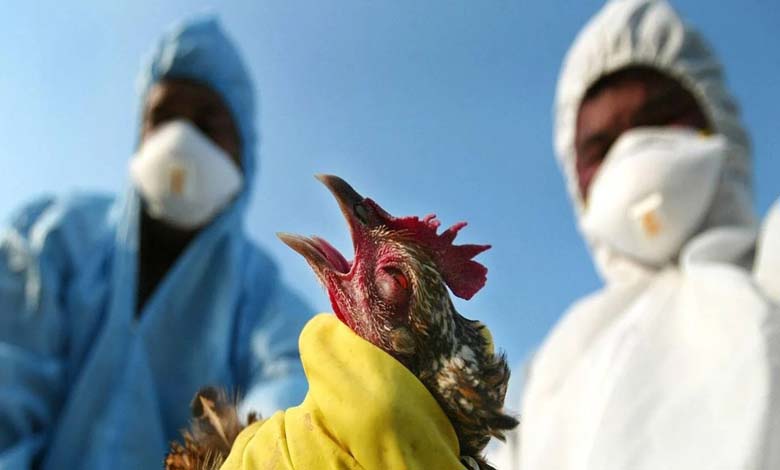 First Human Death from Avian Flu in the U.S.: What You Need to Know