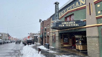 Gaza and Los Angeles Fires at the Sundance Festival