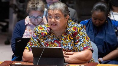 Ghanaian Hanna Tetteh Appointed UN Envoy to Libya after Months of Vacancy