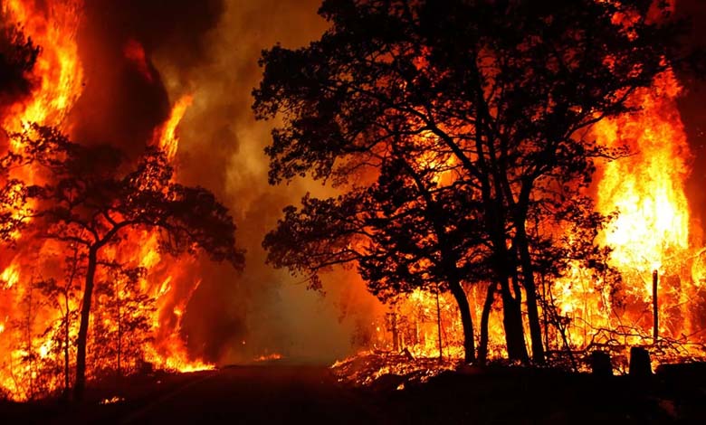 Los Angeles: $57 Billion in Wildfire Losses