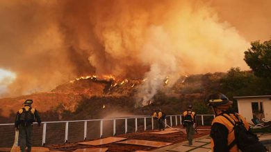 Los Angeles Wildfires: New Details on Containment Rates and Recovery Efforts