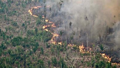 Massive Wildfires: A Worrisome Mystery for Scientists