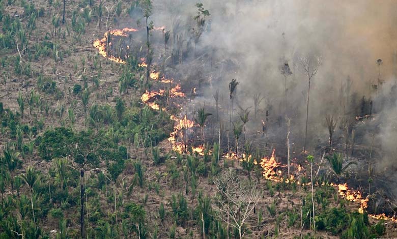 Massive Wildfires: A Worrisome Mystery for Scientists