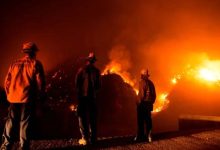 Photos Document the Massive Destruction in a Wealthy Los Angeles Neighborhood Due to Wildfires