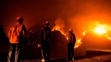 Photos Document the Massive Destruction in a Wealthy Los Angeles Neighborhood Due to Wildfires