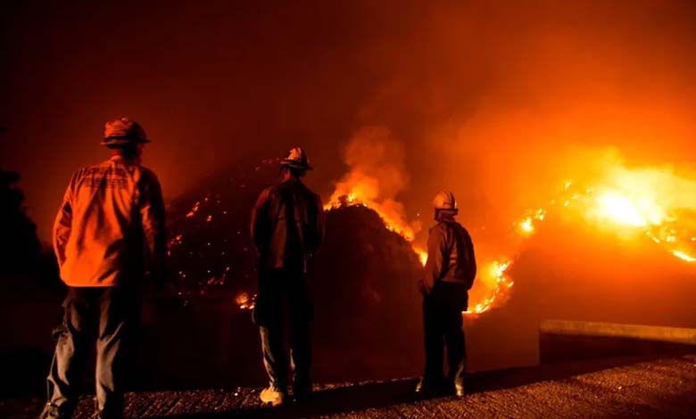 Photos Document the Massive Destruction in a Wealthy Los Angeles Neighborhood Due to Wildfires