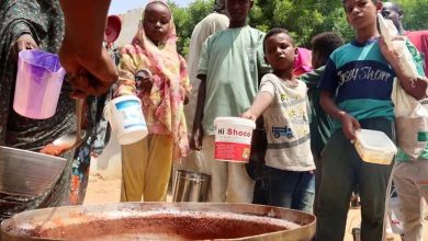 Sudan without Salaries: A Crushing Living Crisis, ILO Sounds the Alarm