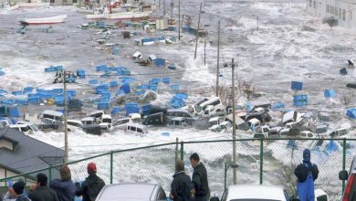 Tsunami Waves Hit Miyazaki Prefecture in Japan