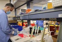 Turkey Conducts Unique DNA Test Due to "Clever Hunter"
